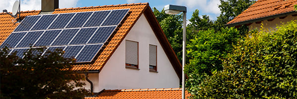 Why Choose Solar Bear for Tampa Home Solar