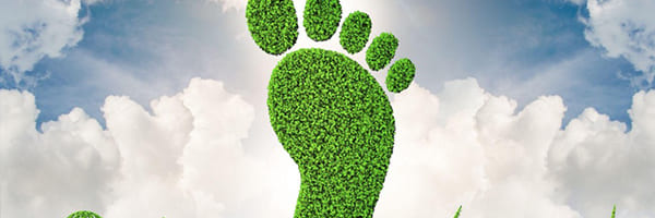 Carbon Footprint – What Is It?