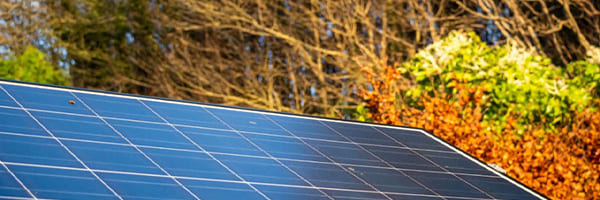 Is Fall a Good Time to Install Solar Panels? Yes, Here’s Why