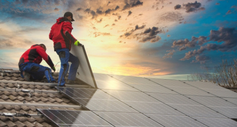 Partner with Solar Bear Image