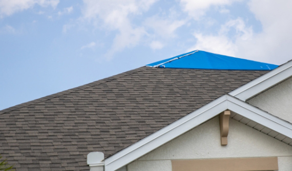 Roofing Service Image