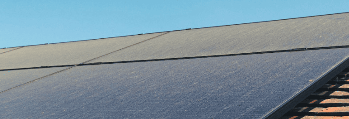 Pollen Problem? How Seasonal Debris Can Reduce Solar Efficiency & The Importance of Cleaning Your Solar