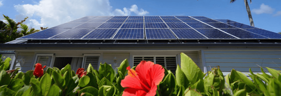 Solar Power and the Freedom to Choose Your Energy Future